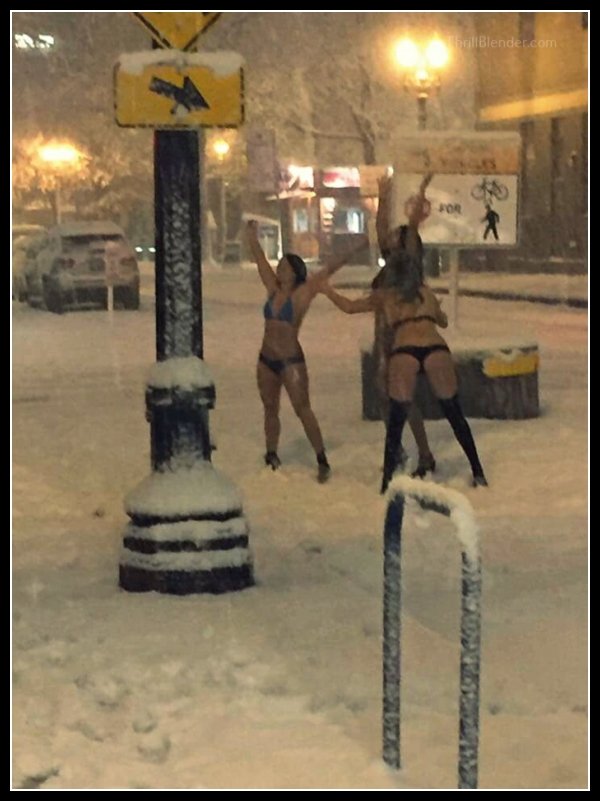 funny-pictures4