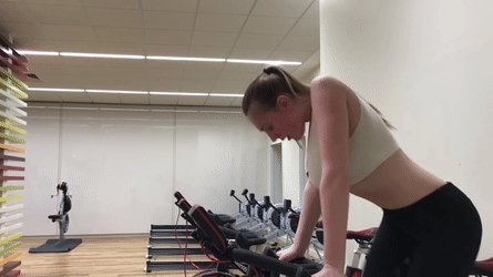 gif-bitches